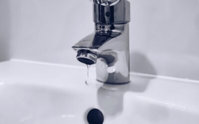 Faucet Inspection In Greater Athens Ga Area